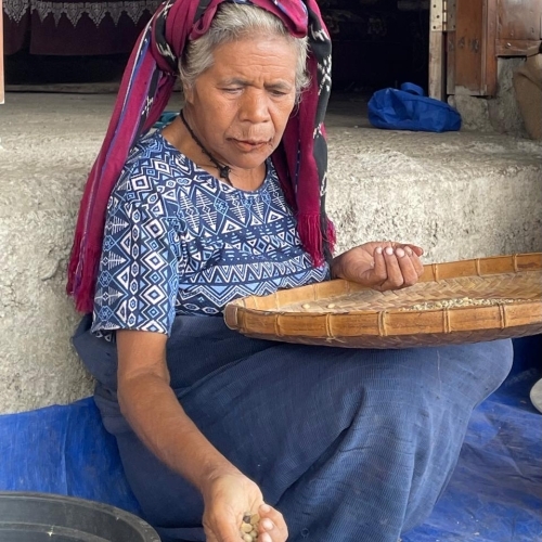 Bajawa Forest Coffee - Lavato