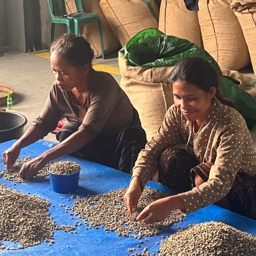 Bajawa Forest Coffee - Wet Hulled